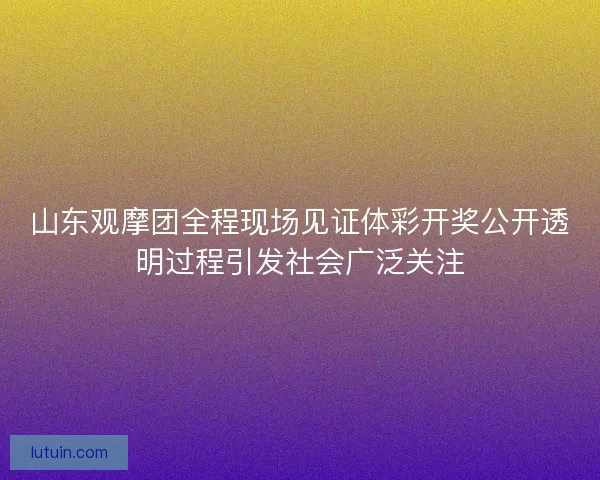 山东观摩团全程现场见证体彩开奖公开透明过程引发社会广泛关注